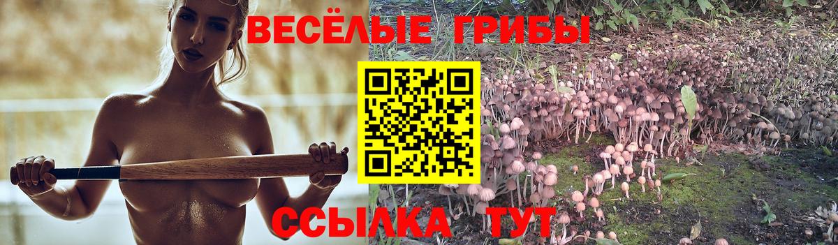 Галлюциногенные грибы GOLDEN TEACHER Владивосток
