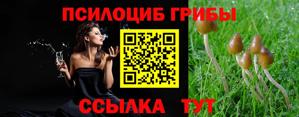 Владивосток  Псилоцибиновые грибы GOLDEN TEACHER  Галлюциногенные грибы Cubensis  Вход с VPN 